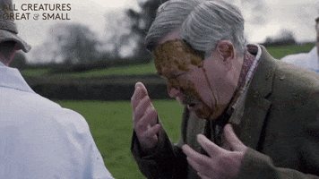 allcreaturestv dirty yuck bad day all creatures great and small GIF