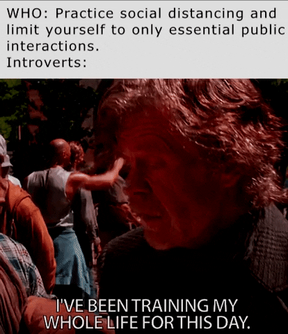rohaq giphyupload GIF