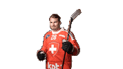 Celebrate National Team Sticker by Swiss Ice Hockey