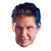 hoff thehoff Sticker by ADMIRAL