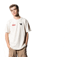 callepigeon  GIF