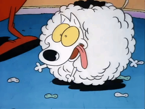 rockos modern life nicksplat GIF