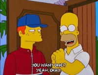 homer simpson GIF