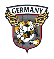 Germany Soccer Sticker by Avery Dennison