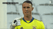 Sl Benfica Point GIF by Sport Lisboa e Benfica