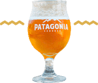 goosesaopaulo beer cerveza cerveja patagonia Sticker