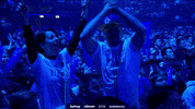 Vitality GIF by BLAST