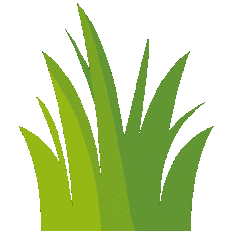 Plant Grass Sticker by Kew Gardens