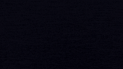 fychicstore fashion womenfashion fychic fychicstore GIF