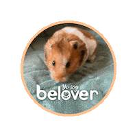 Hamster Sticker by Befoods Chile