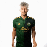 Portland Timbers Shrug GIF by Timbers