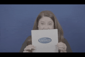 Brady Bunch GIF by Lapointe Insurance Agency
