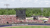 James Madison Women GIF by NCAA Championships