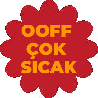 Yaz Pide Sticker by Pidem Türkiye