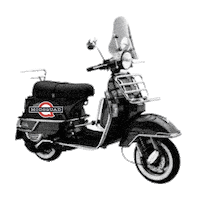 Msqgifs Sticker by ModSquad