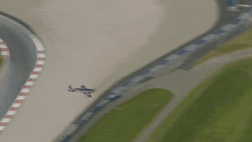 redbullracing france 2019 f1 french GIF