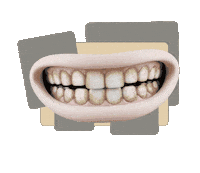 Sticker by Petry Ortodontia