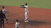 Bearcats Baseball Celebration GIF by Cincinnati Bearcats