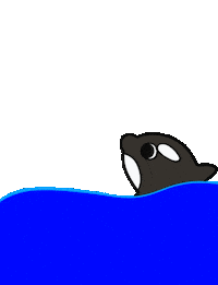 Orca 游泳 Sticker