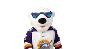 No Way Hockey Sticker by Orlando Solar Bears