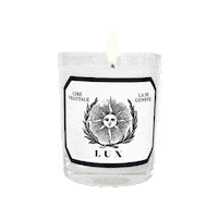 Candle Lux Sticker by La5e