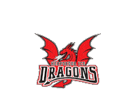 Ice Hockey Sticker by Herforder EV