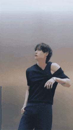 StayforChahn giphyupload stray kids skz straykids GIF