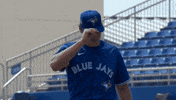 Blue Jays Mlb GIF by Toronto Blue Jays