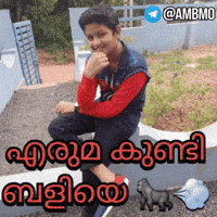 Sarang GIF