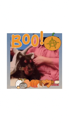 Dress Up Trick Or Treat GIF