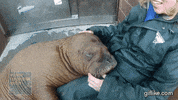 day snuggling GIF