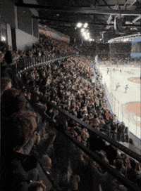 VIFHockey ishockey vif feiring mål GIF