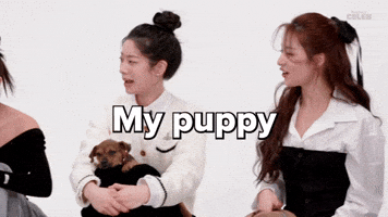 My puppy