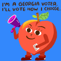 Voting Rights Vote GIF by Creative Courage