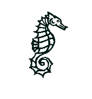 Seepferdchen Sticker by Pirates of Paradise