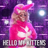 Hello My Kittens