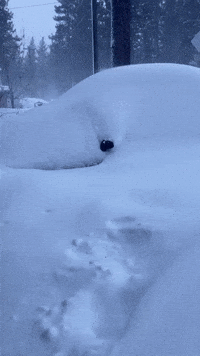 Car Buried in Several Feet of Snow in Tahoe Area