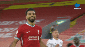 Celebration What GIF by MolaTV