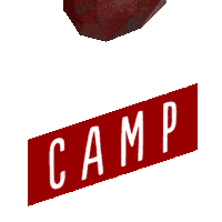 Art Camping Sticker by FITC