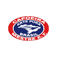 Brasil Sticker by Arte Pura