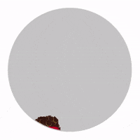 Kansas City Chiefs Football GIF by SportsManias