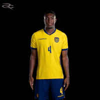 Fifa World Cup Ecuador GIF by Respective