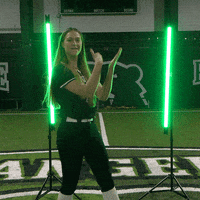 Parkside Softball GIF by Parkside Athletics