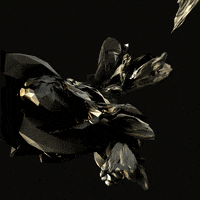 Design Loop GIF by xponentialdesign