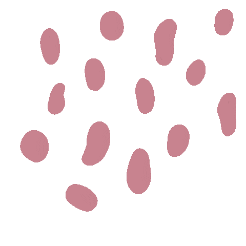 Taravanderven Sticker
