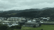和歌山 GIF by Choc Ye