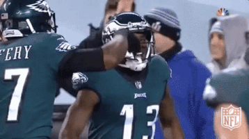 philadelphia eagles football GIF by NFL