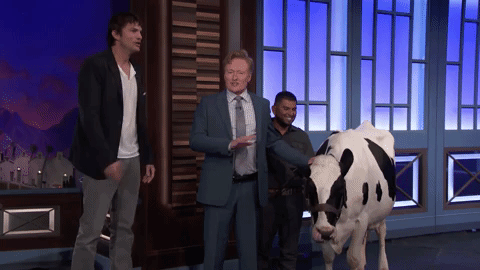 ashton kutcher conan obrien GIF by Team Coco
