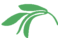 Wind Leaves Sticker by Louen