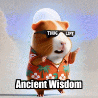 Wisdom Enlightenment GIF by Guinea Gambino